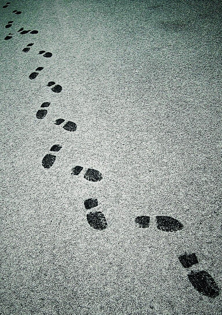 footprints.jpeg