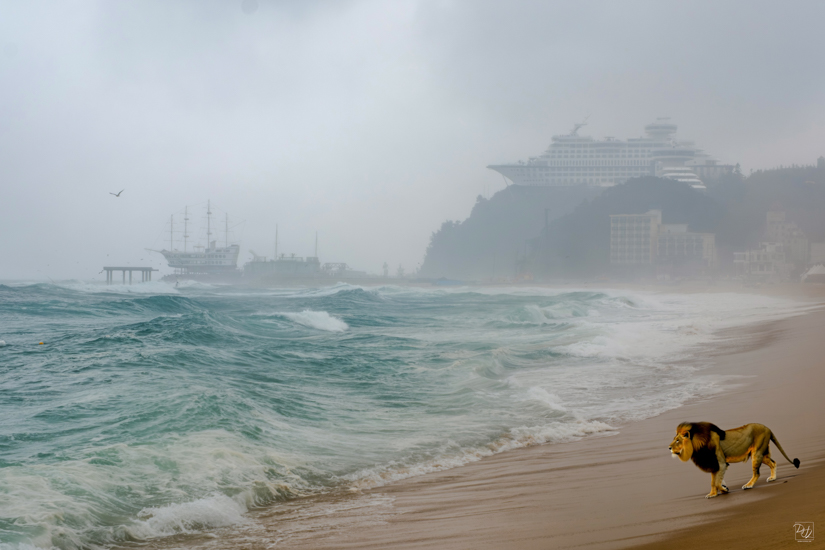 DSCF0027-향상됨-노이즈 감소-2.jpg