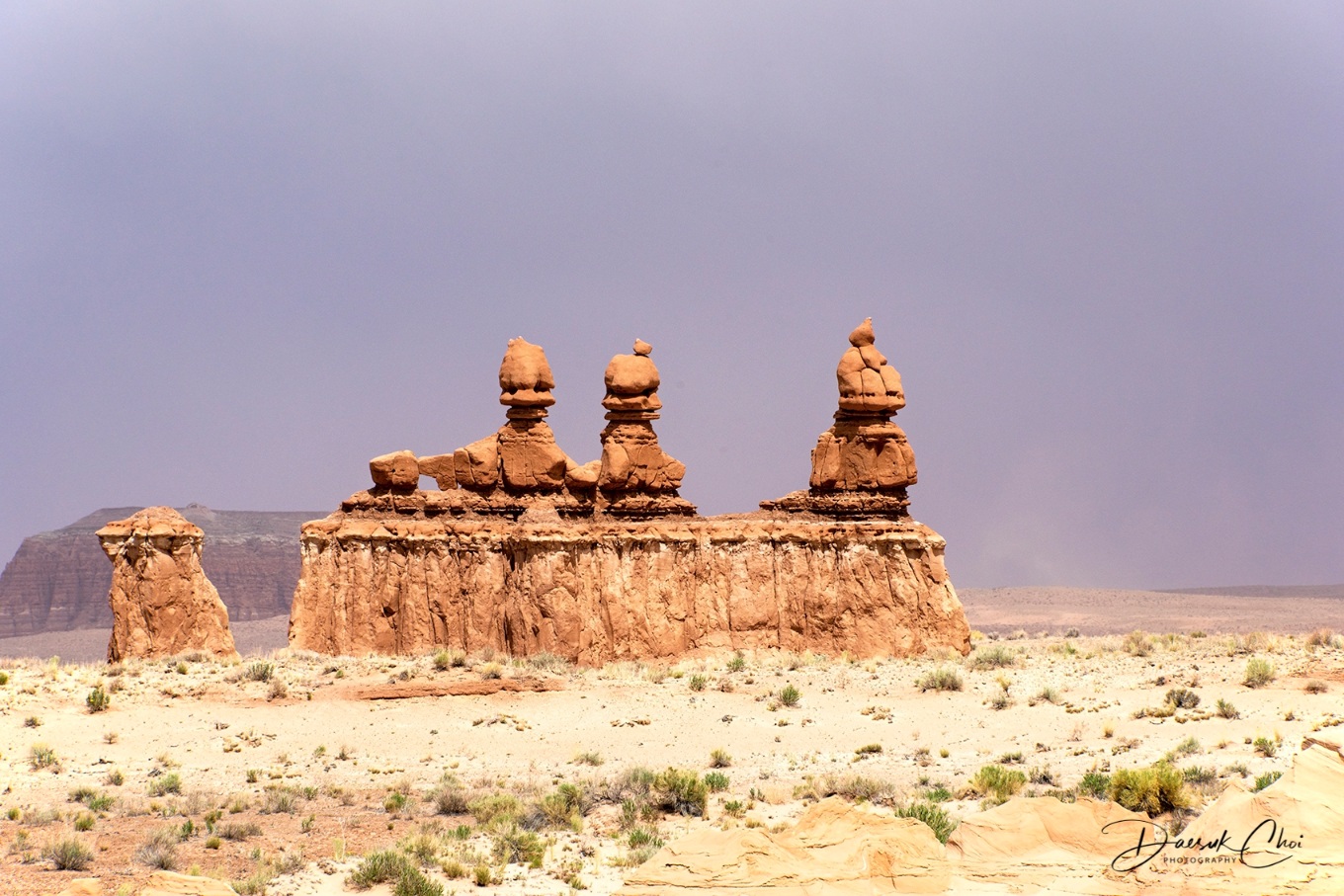 DSC_3816 PS Level 1600px Bio.jpg