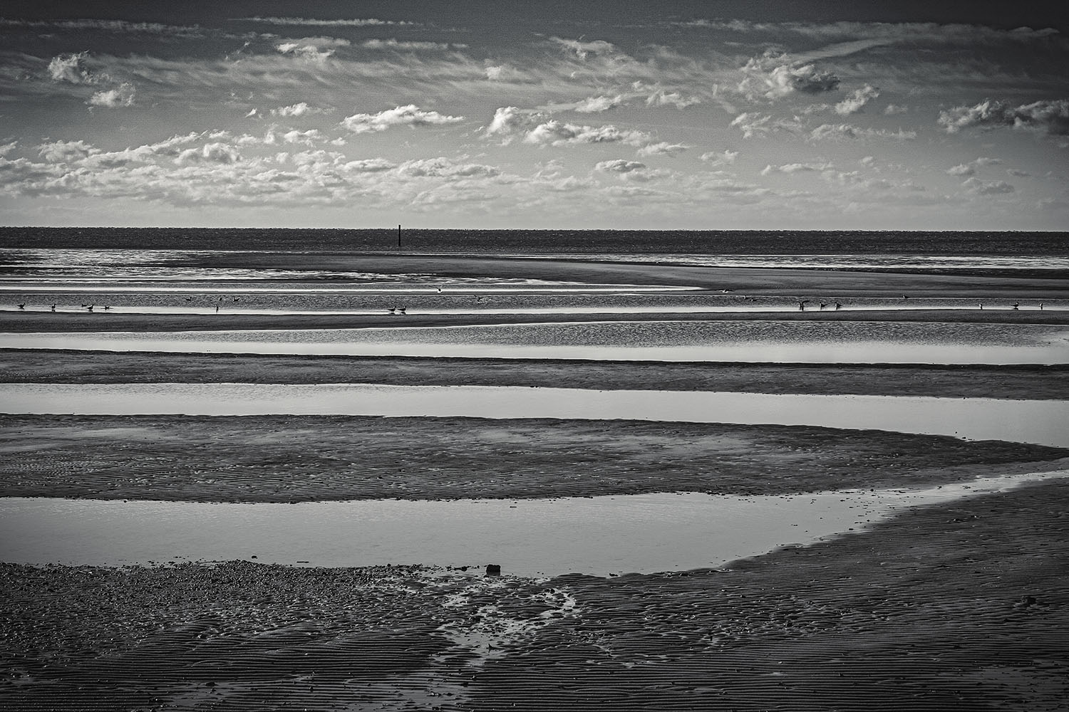 DP3M1039-Edit copy.jpg