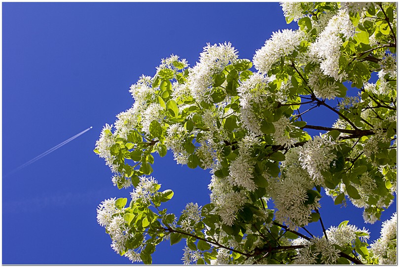 2023_03_11_005 copy.jpg