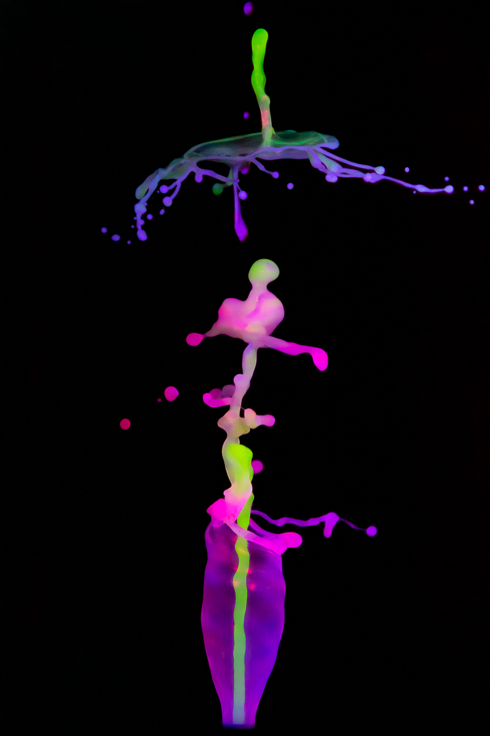 EOS Rebel T6i_047554.jpg