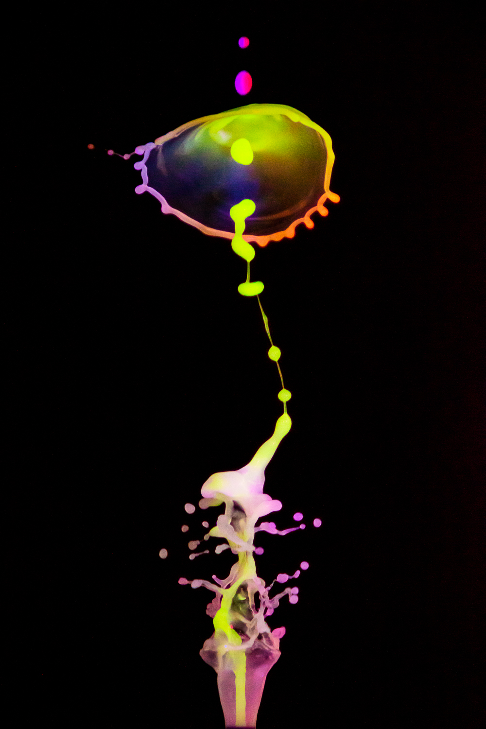 EOS Rebel T6i_048197.jpg