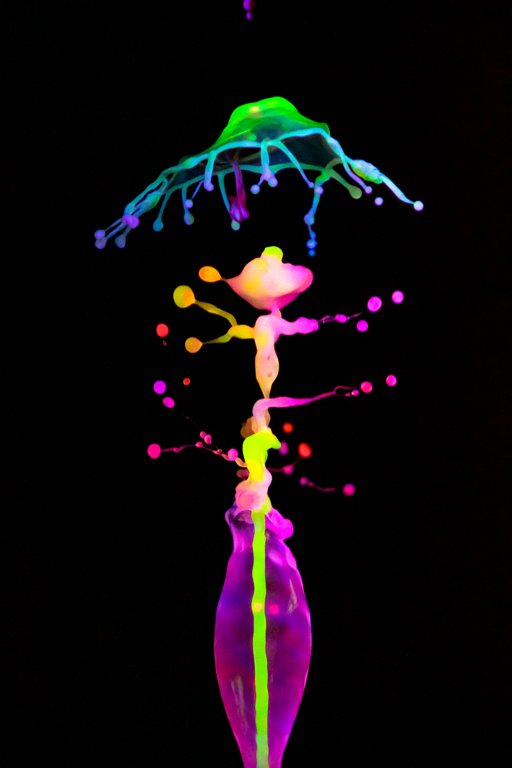 EOS Rebel T6i_047576.jpg