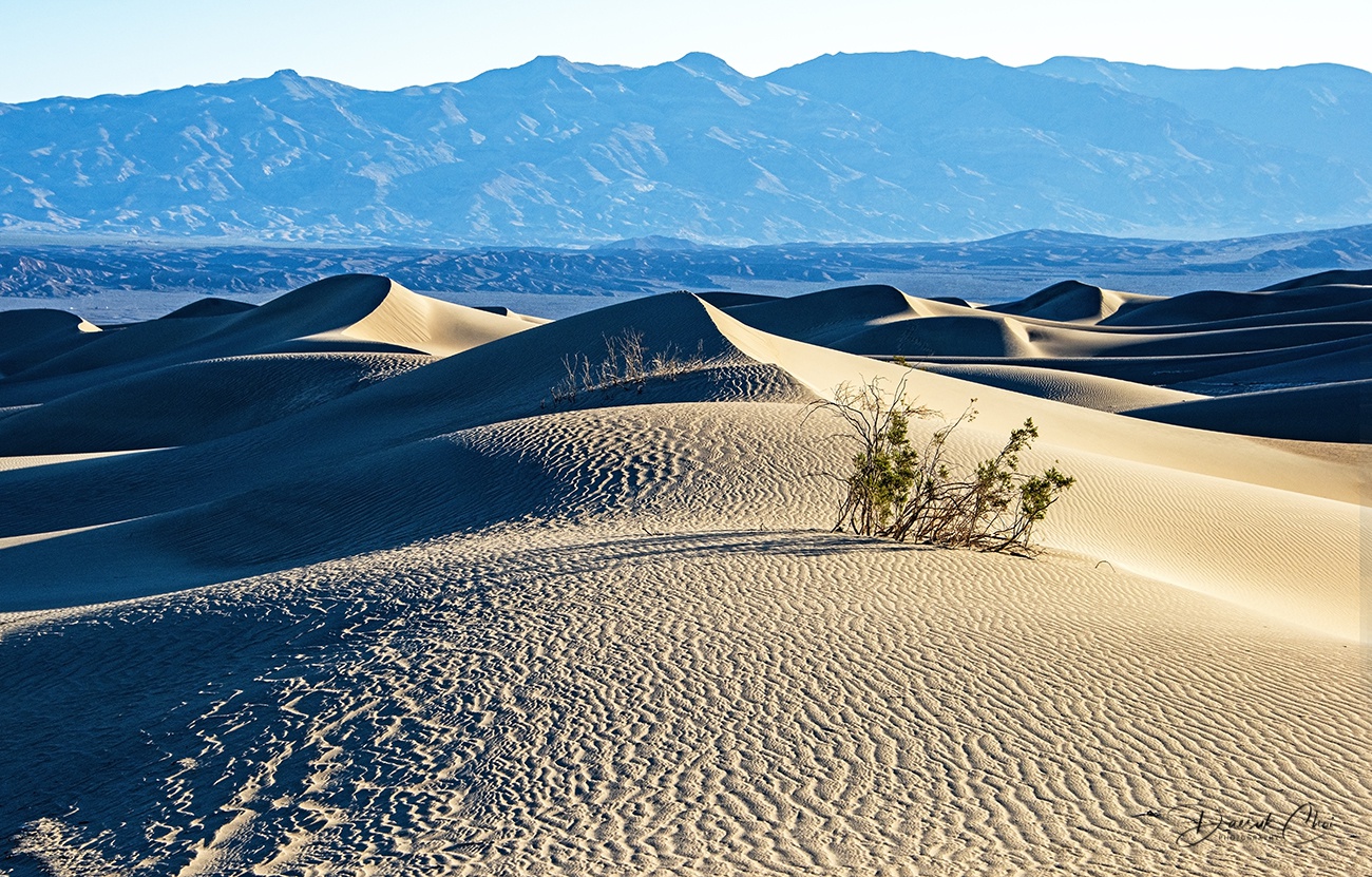 DSC_5733 PS Crop 1300px Bio.jpg