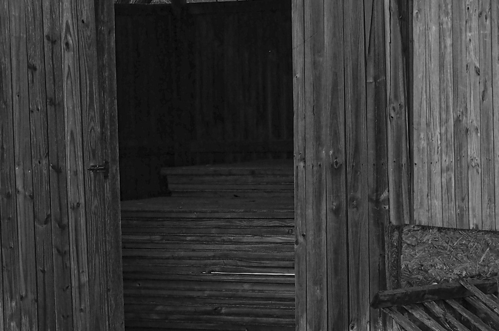 목재 보관소-1.jpg