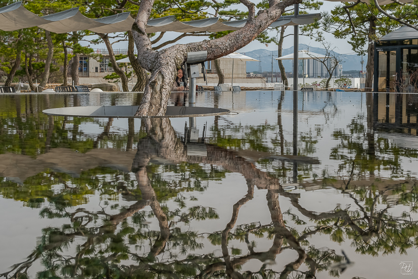 DSCF6496-향상됨-노이즈 감소-편집-편집.jpg