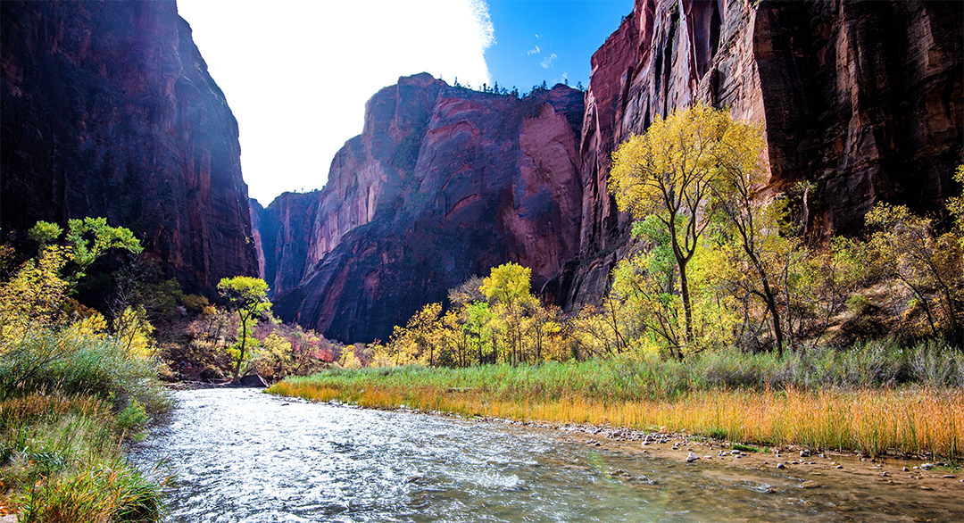 DSC_7700 PS Crop Rmv 1080pv.jpg