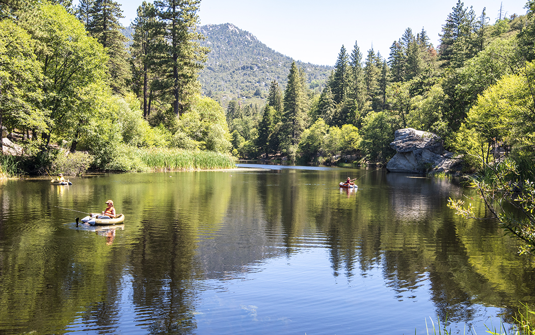 DSC_6583 PS1 Crop 1050px.jpg