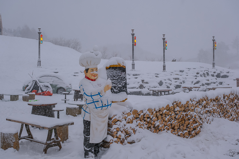 DSCF4907-향상됨-노이즈 감소-편집.jpg