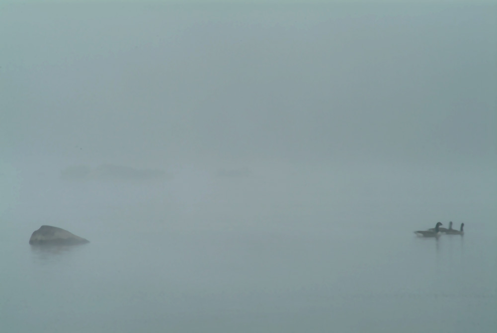 fall 091306 116s.jpg