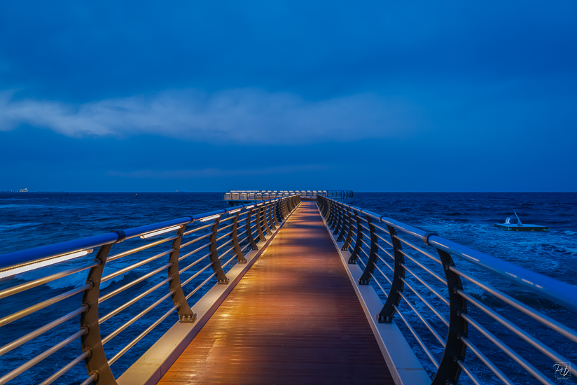 L1026309-향상됨-노이즈 감소-편집.jpg