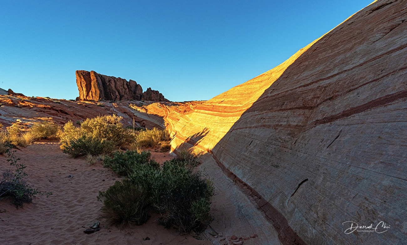 _DSC1890-1.ARW View PS Crop1 1300px Bio.jpg