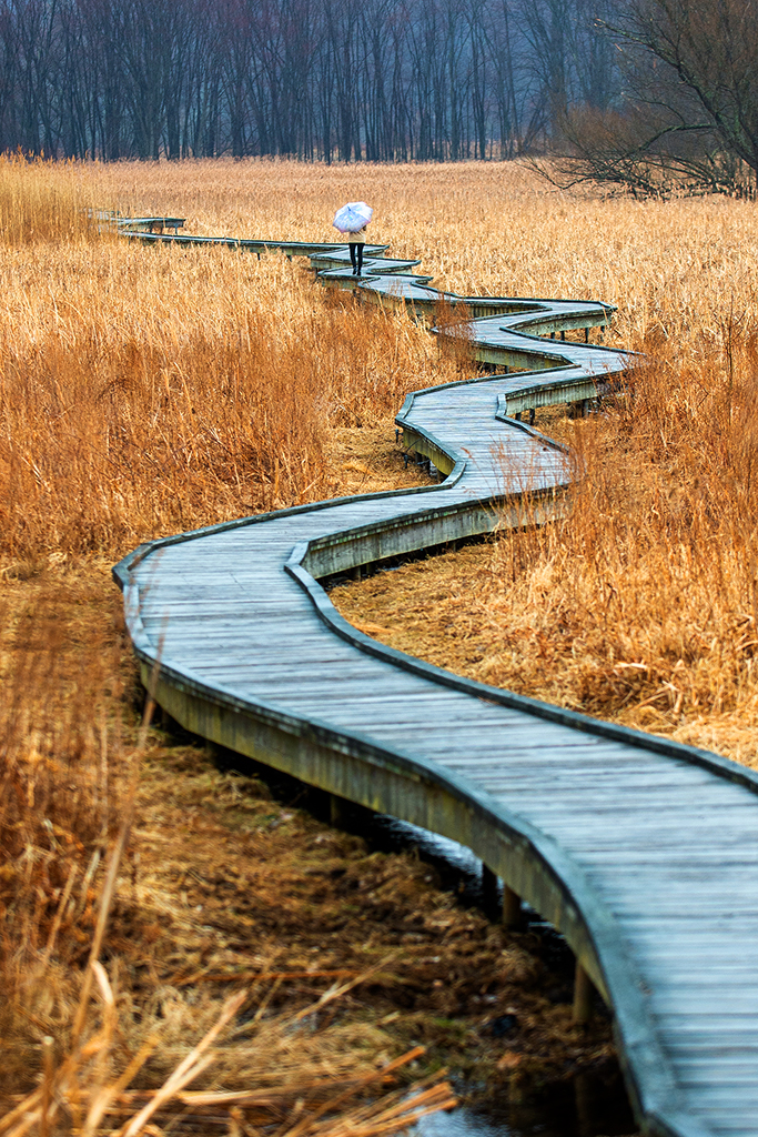 DSC_0284 (2) copy.jpg