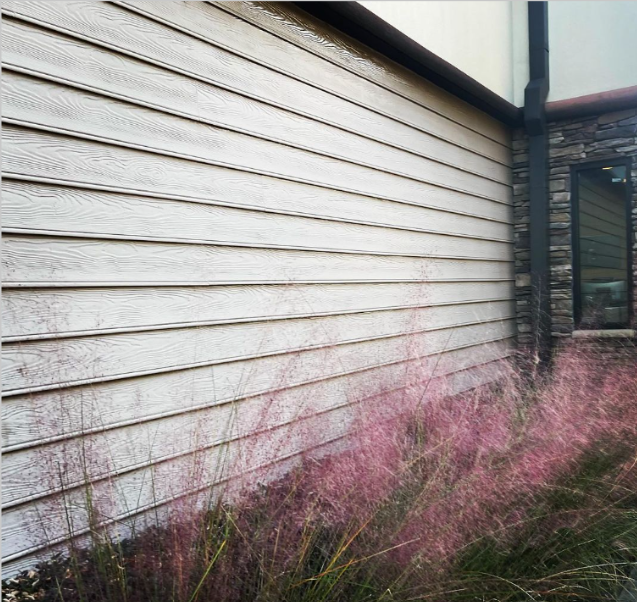 화면 캡처 2023-11-23 235531.png