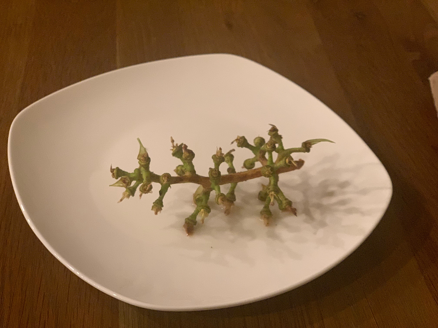 then there was none.JPG