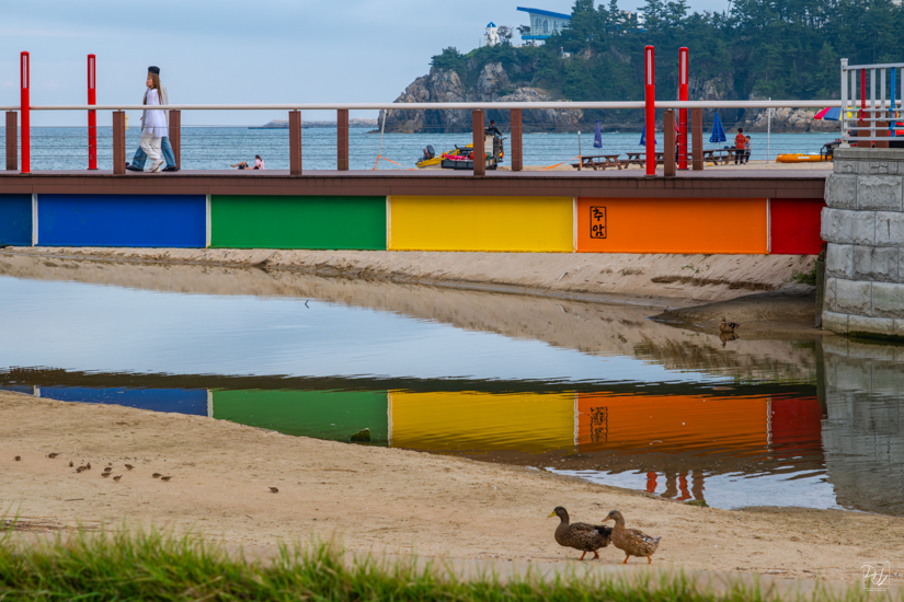 DSCF1039-향상됨-노이즈 감소-편집-3.jpg