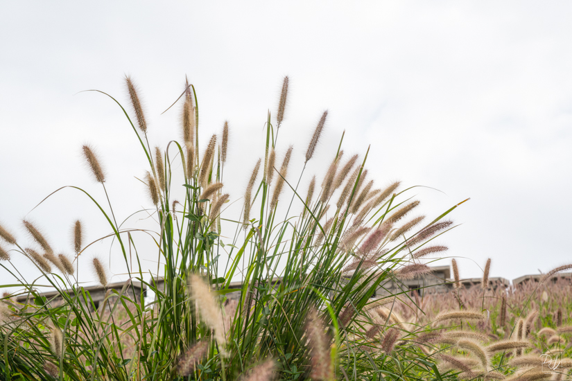 DSCF1883-향상됨-노이즈 감소-편집.jpg