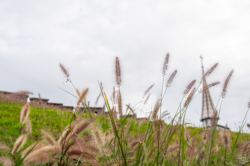 DSCF1881-향상됨-노이즈 감소-편집.jpg