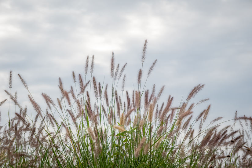 DSCF1874-향상됨-노이즈 감소-편집.jpg