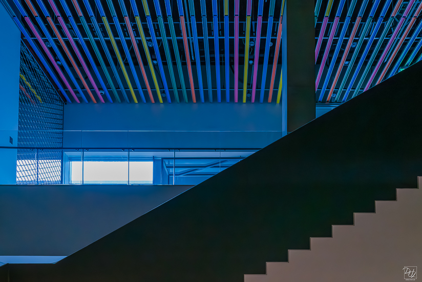 L1025732-향상됨-노이즈 감소-편집-편집.jpg