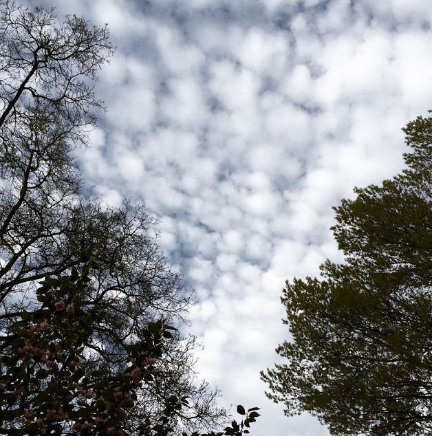 화면 캡처 2023-10-02 221612.png