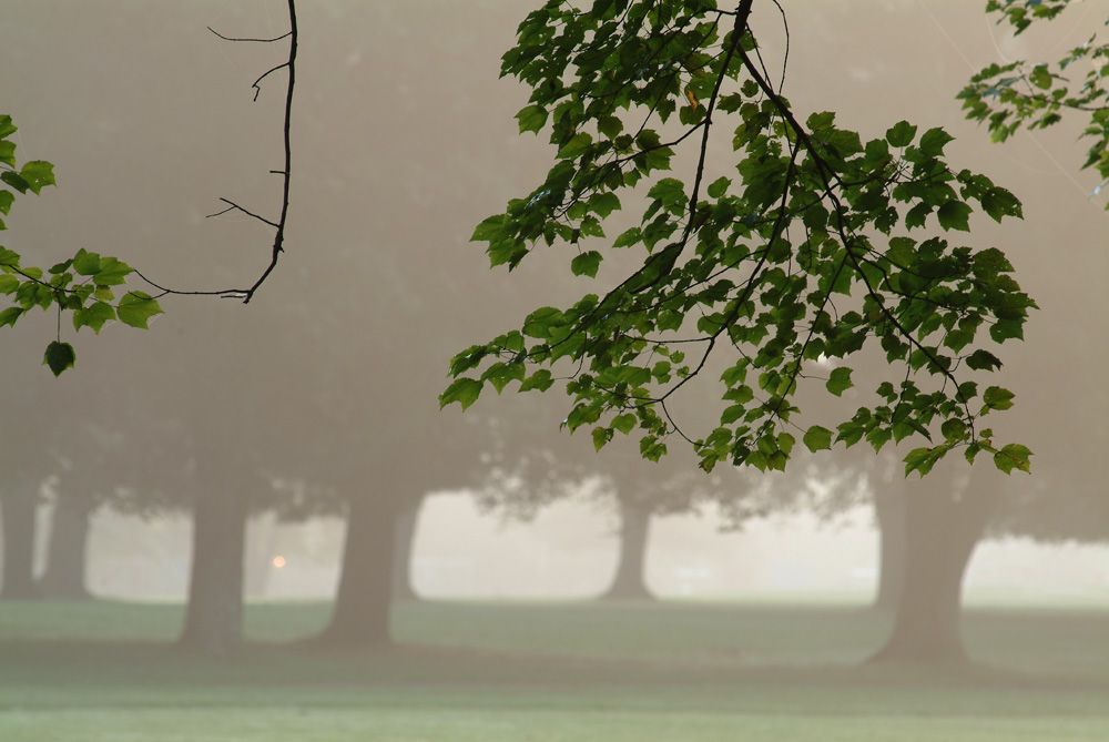 fall 091306 025s.jpg