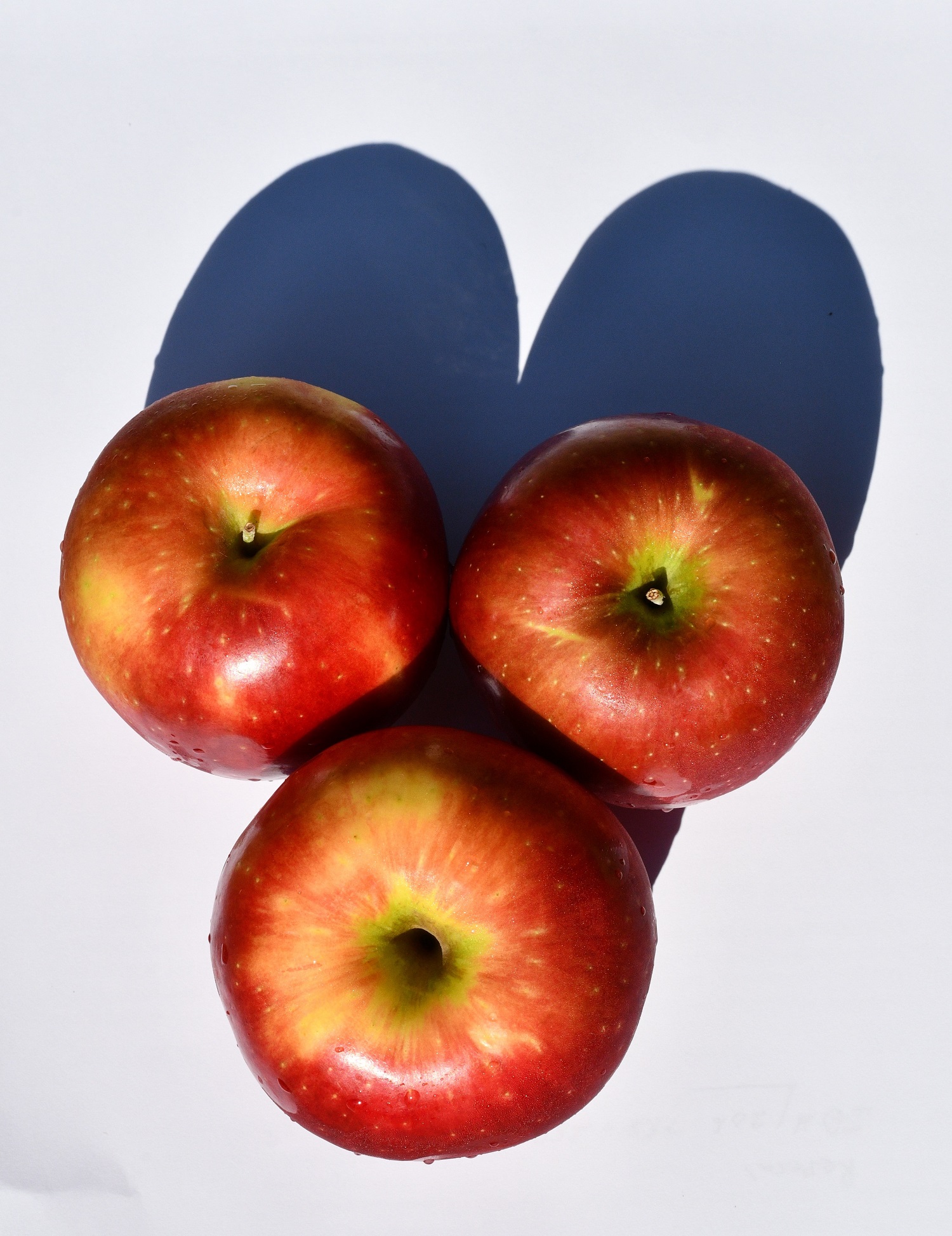 first homework 1.JPG