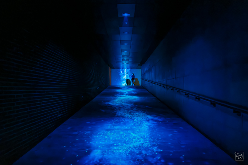 L1024536-향상됨-노이즈 감소-편집.jpg