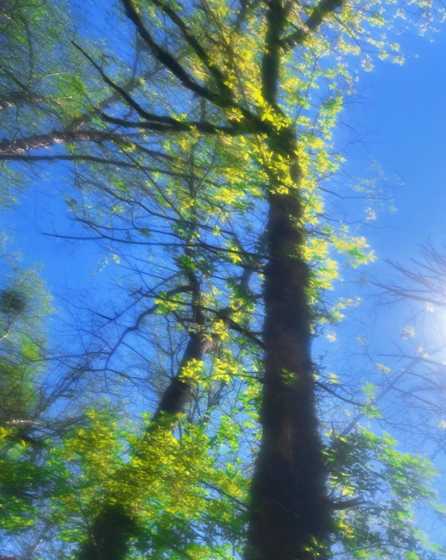 화면 캡처 2024-04-04 214316.png