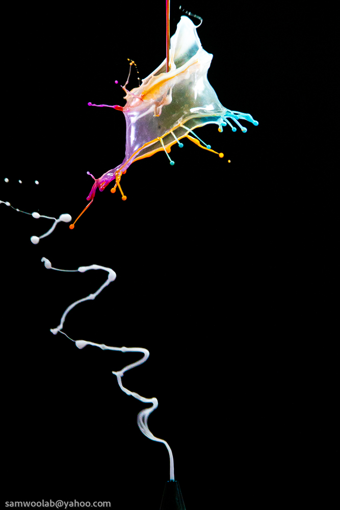 EOS Rebel T6i_052493.jpg