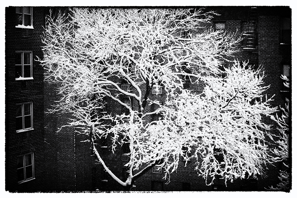 DSC_6649-편집 copy.jpg