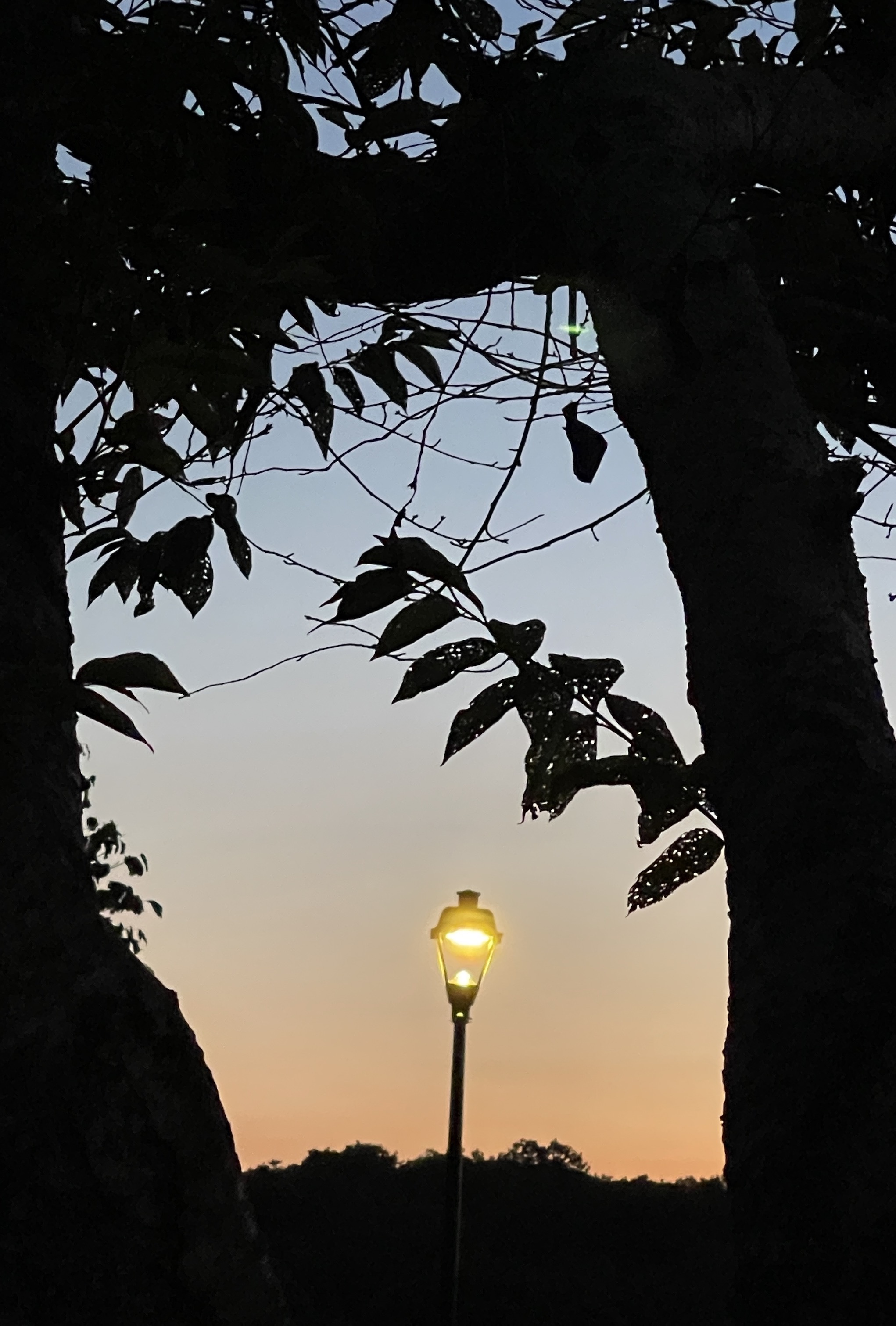 프렘임샷-숙제 2-1.JPG