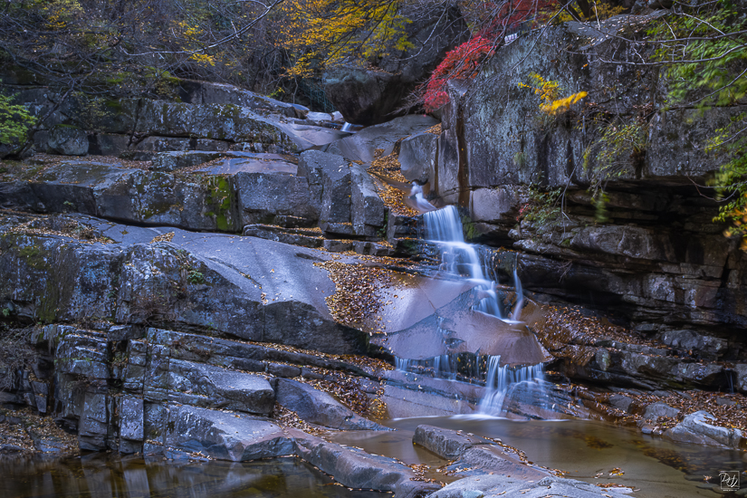 DSCF2874-향상됨-노이즈 감소-편집.jpg