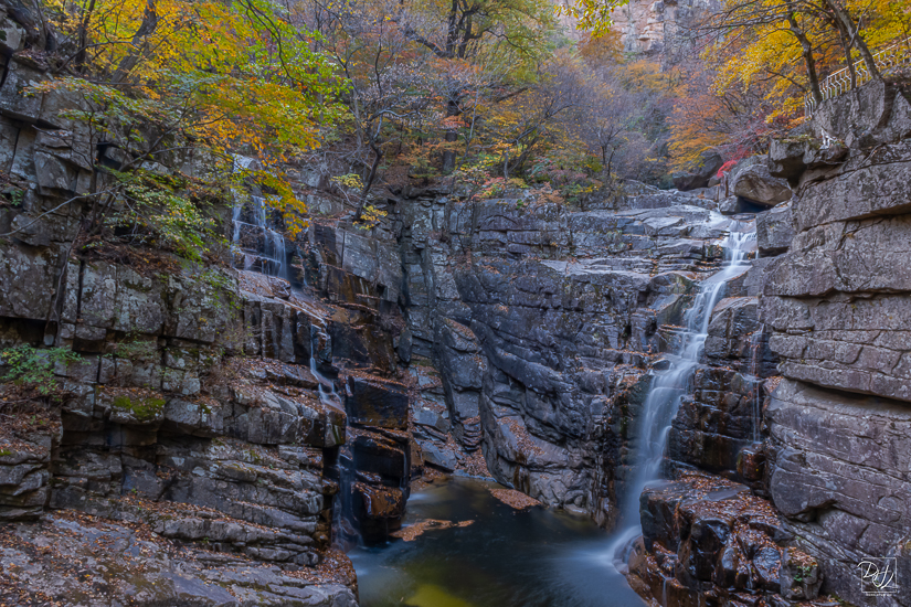 DSCF2842-향상됨-노이즈 감소-편집.jpg