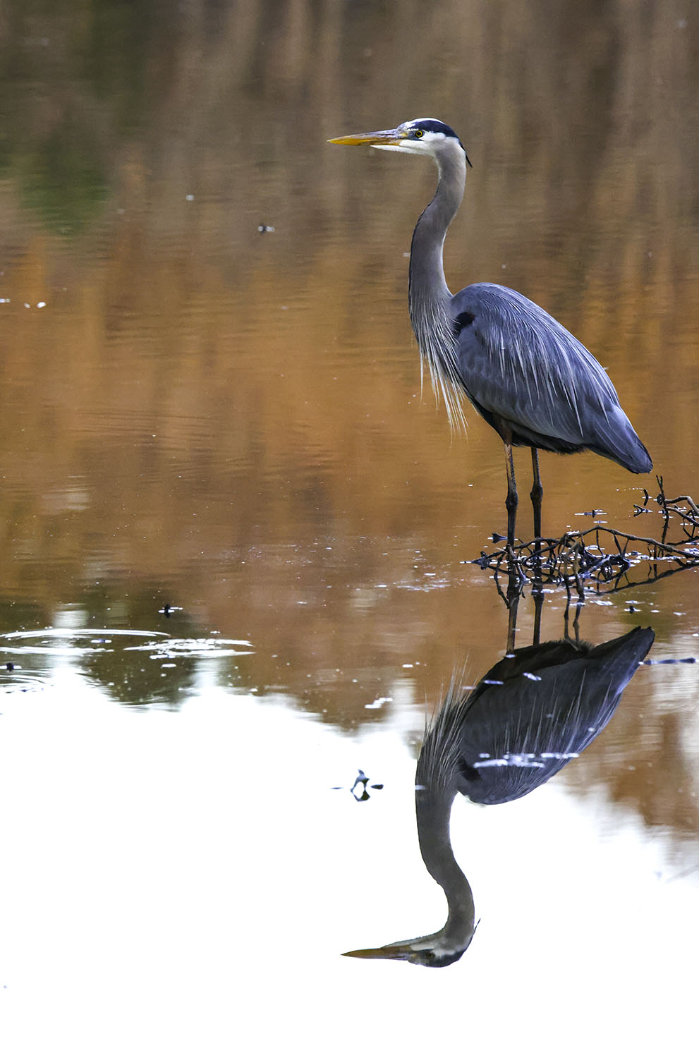 1S2A0308-Edit copy.jpg