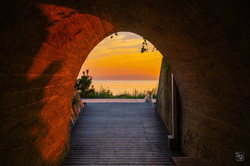 DSCF0949-향상됨-노이즈 감소-편집.jpg