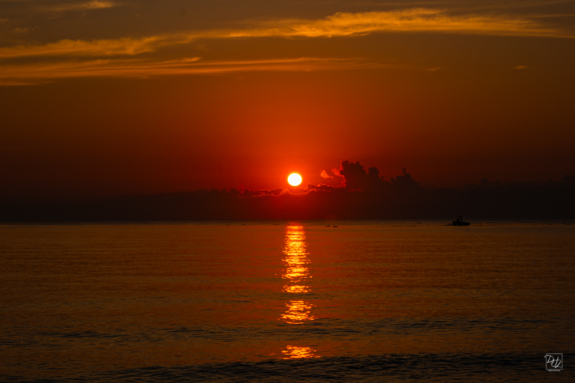 DSCF0926-향상됨-노이즈 감소-편집.jpg