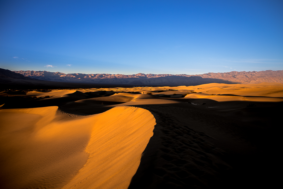 EOS 5D Mark IV_6729.jpg