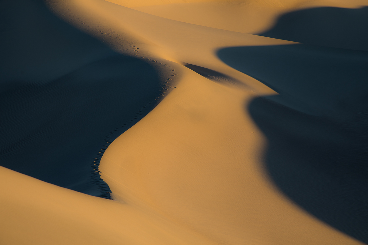 EOS 5D Mark IV_6758.jpg