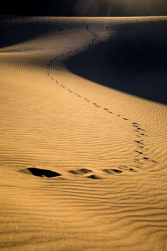 EOS 5D Mark IV_6809-편집.jpg