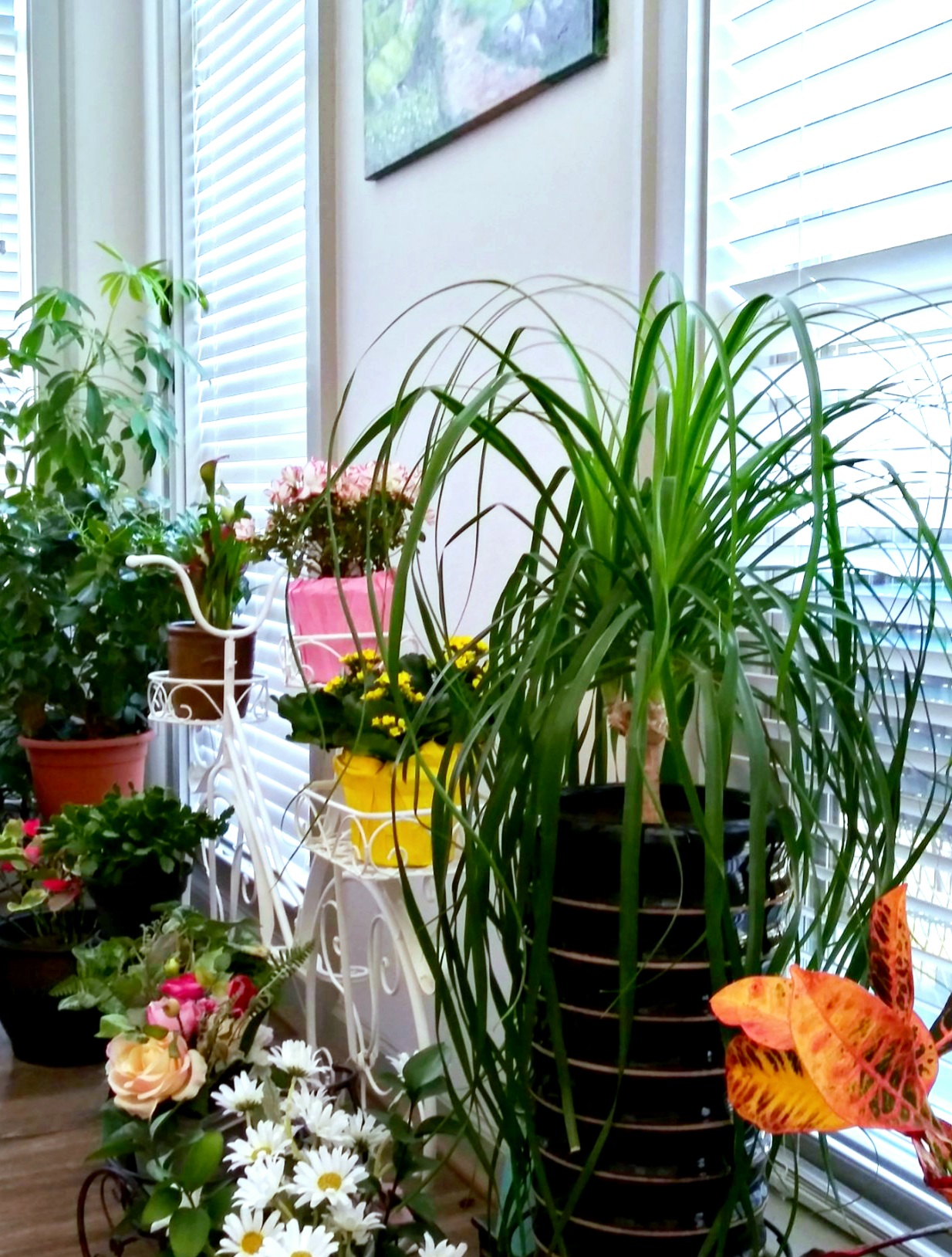 카카오스토리_2021_11_27 23_08_33.jpg