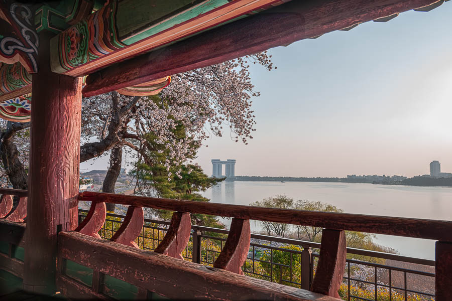 _DSC1537-향상됨-노이즈 감소-편집.jpg