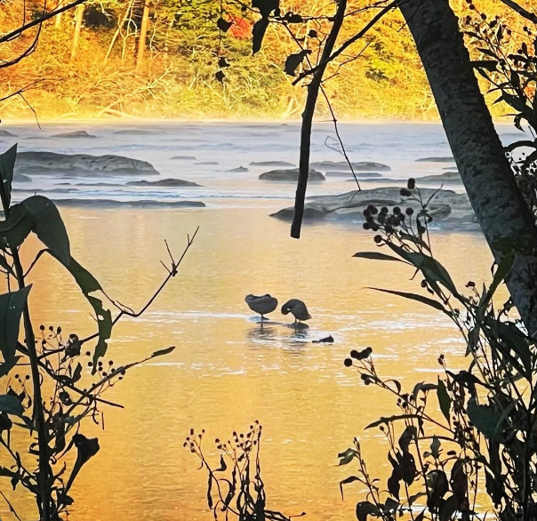 화면 캡처 2023-12-05 221728.png