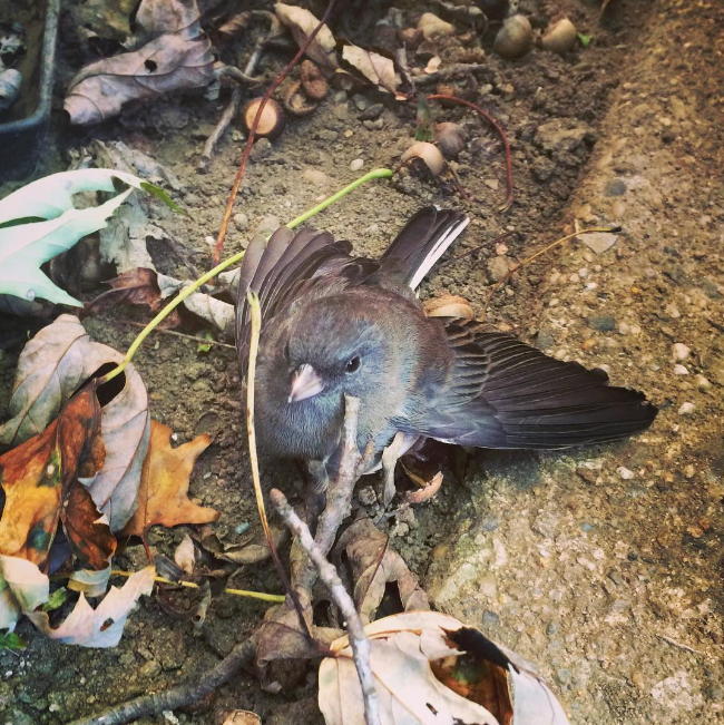 화면 캡처 2023-10-03 205615.png