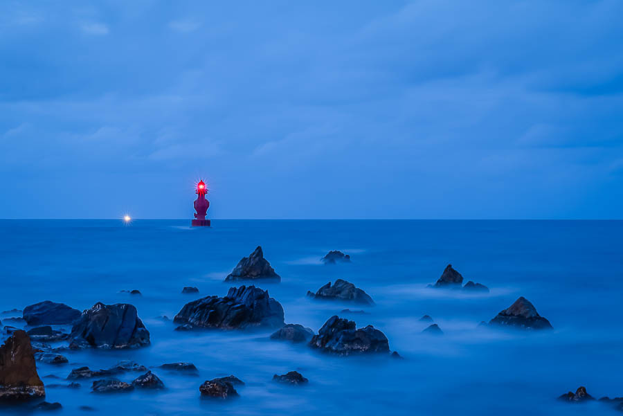 L1026993-향상됨-노이즈 감소-편집.jpg