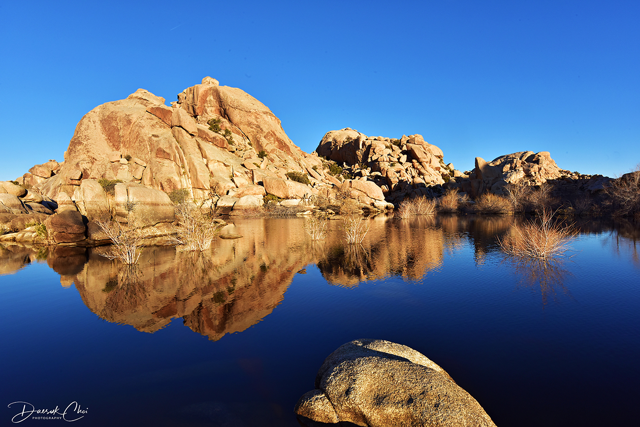 DSC_6298 PS Pscp 1300px.jpg