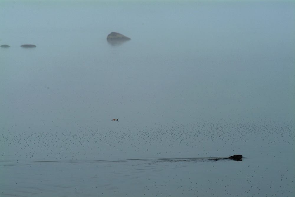 fall 091306 133s.jpg