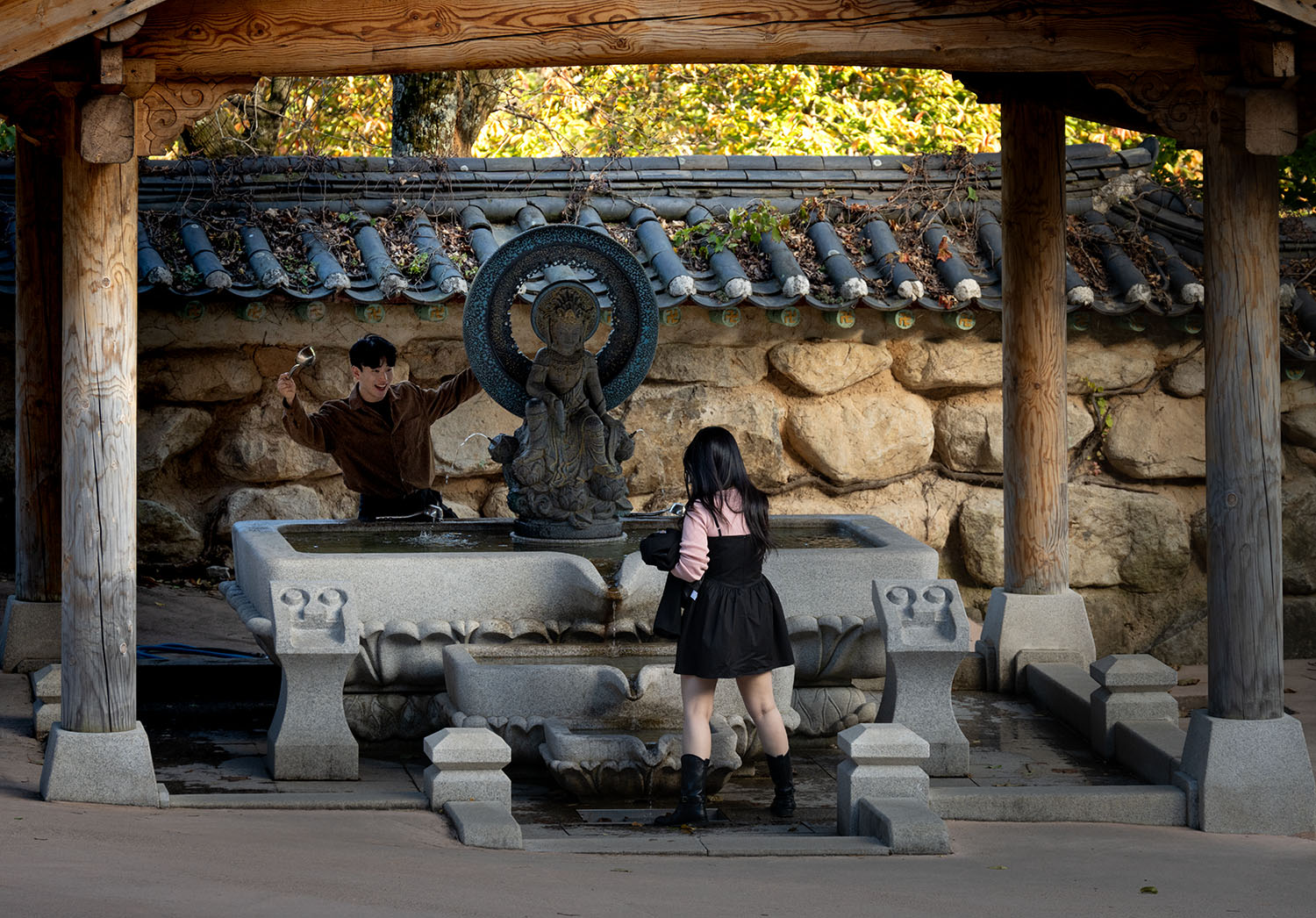 _NZ73709-Edit copy.jpg