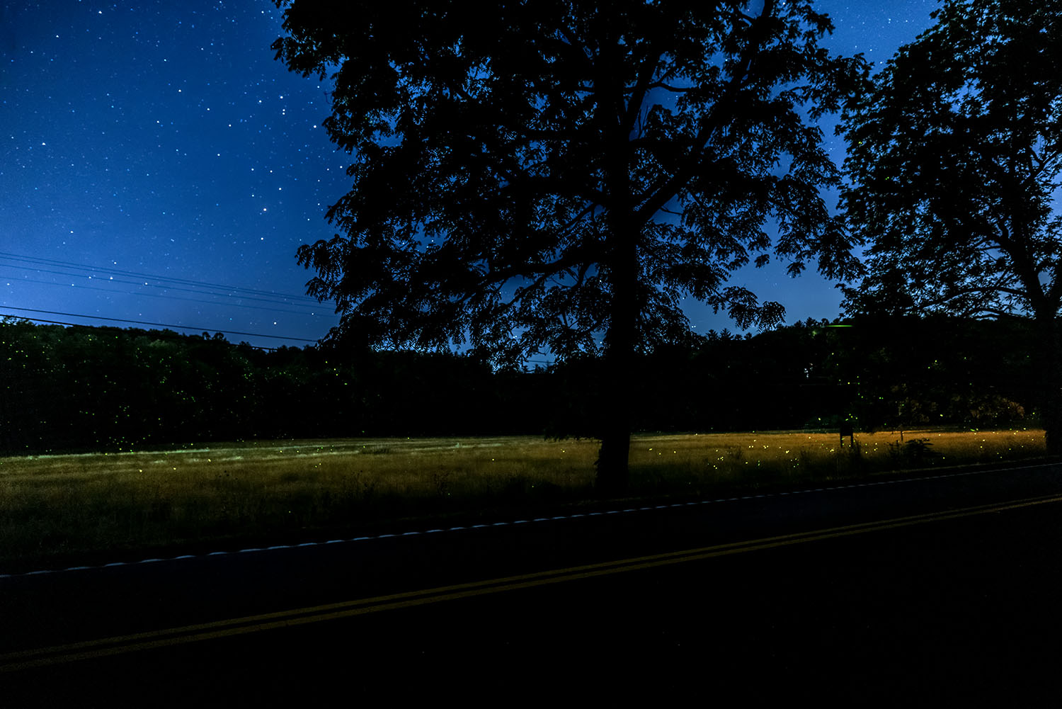 Untitled_Panorama-1 copy.jpg